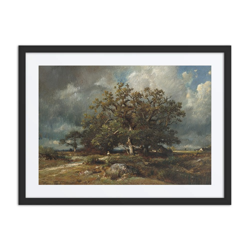 The Old Oak