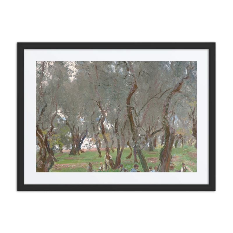 The Olive Grove