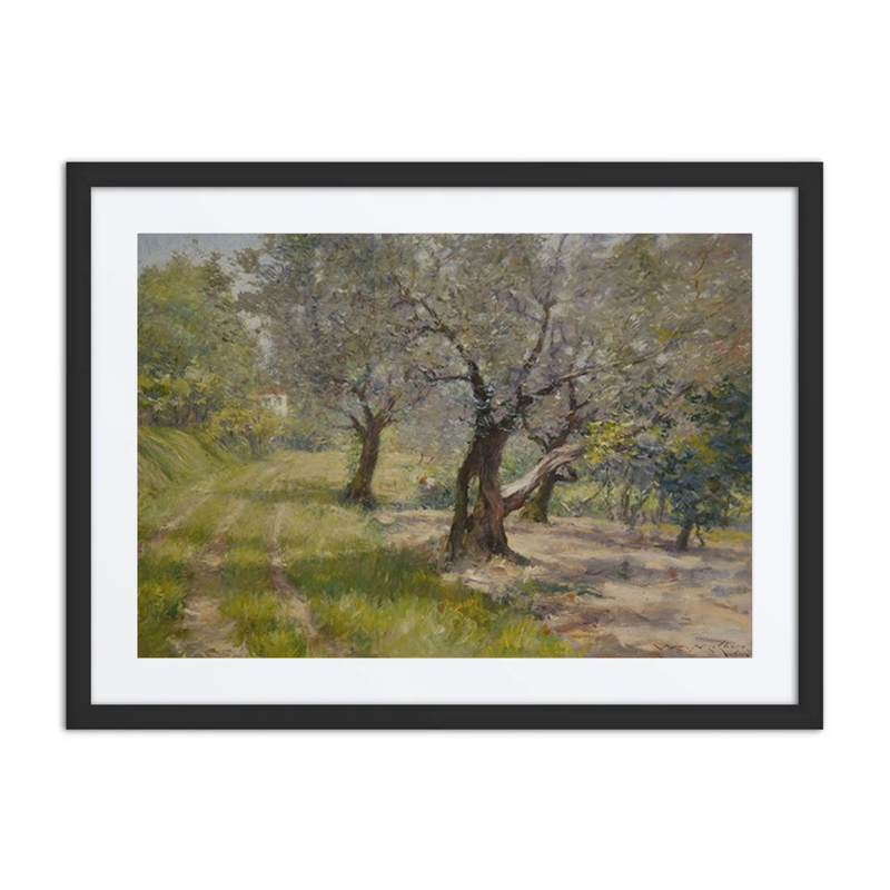 The Olive Grove
