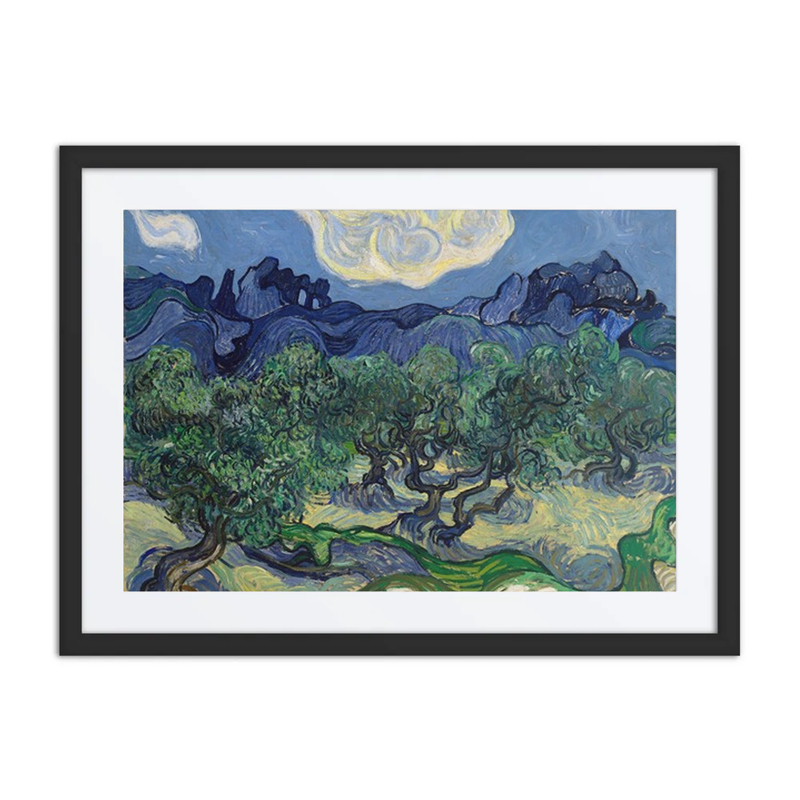 The Olive Trees