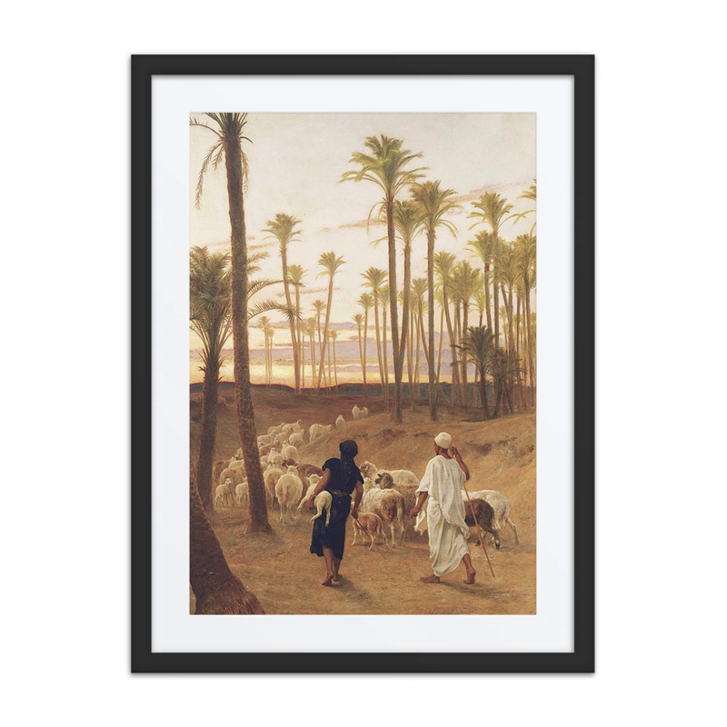 The Palm Grove