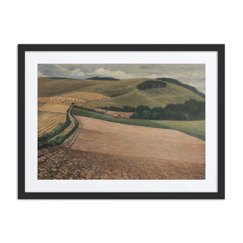 The Peaceful Rhythms of the Downs