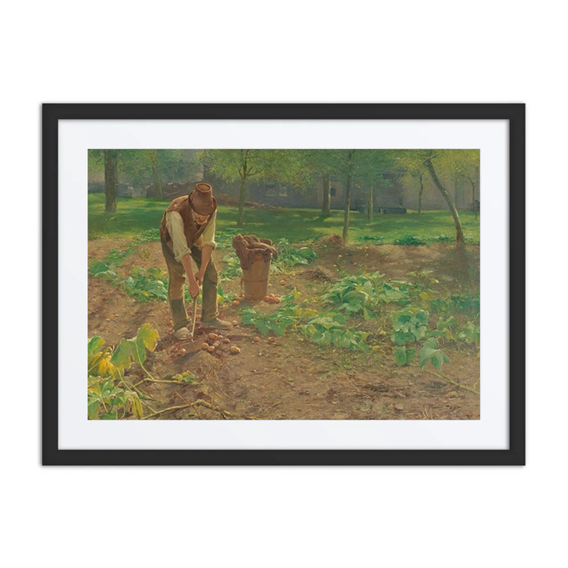 The Potato Harvest