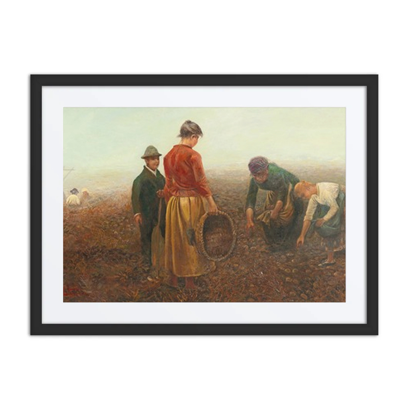 The Potato Harvest