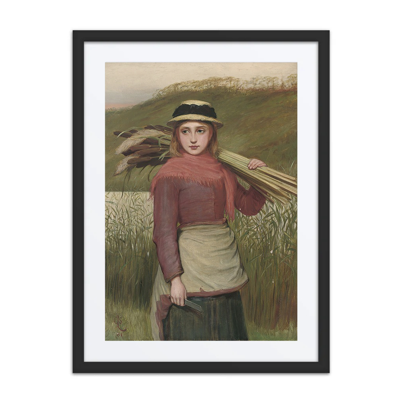 The Reed Cutter