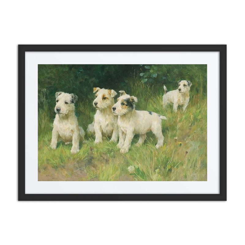 The Rising Generation