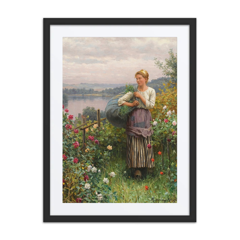 The Rose Garden