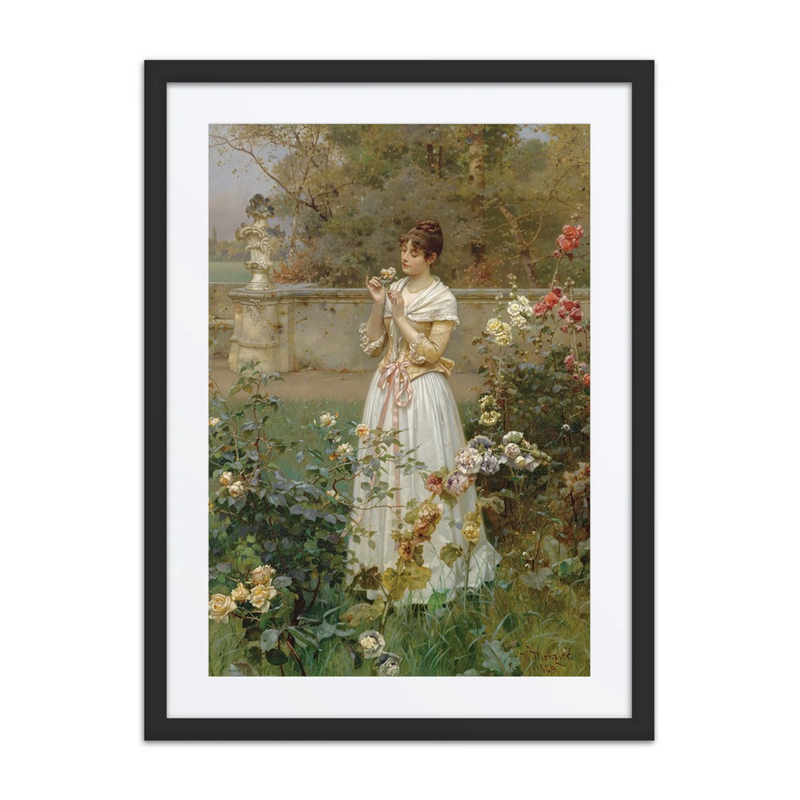 The Rose of All Roses