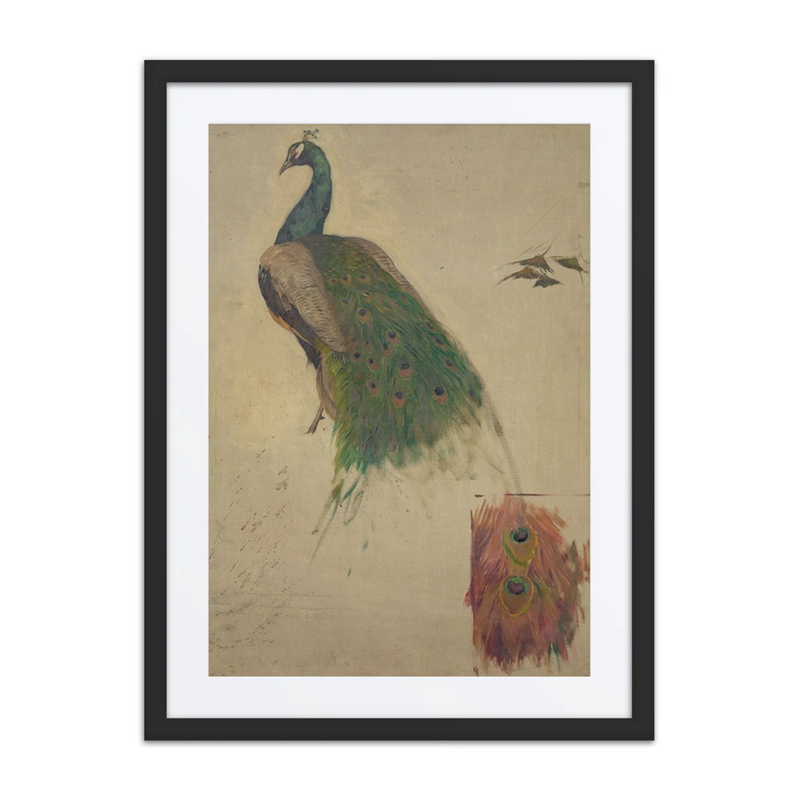 The Sciences, Study for Peacock in Tympanum