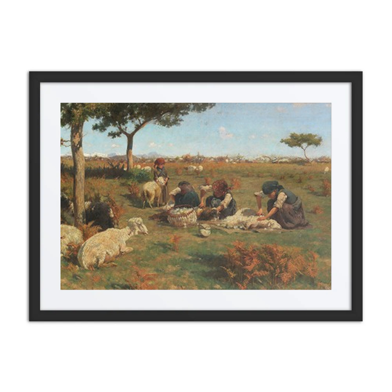 The Sheep Shearing