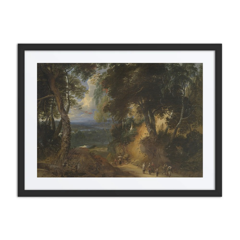 The Soignes Forest