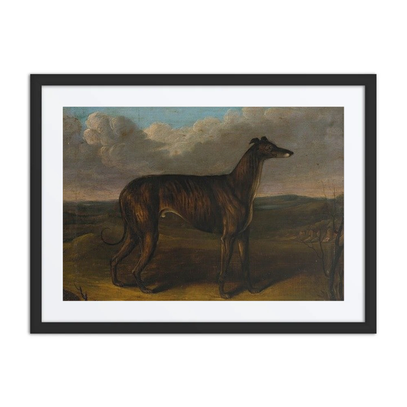 The Sultan; a Greyhound