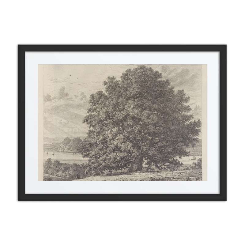 The Sycamore at Bishopton