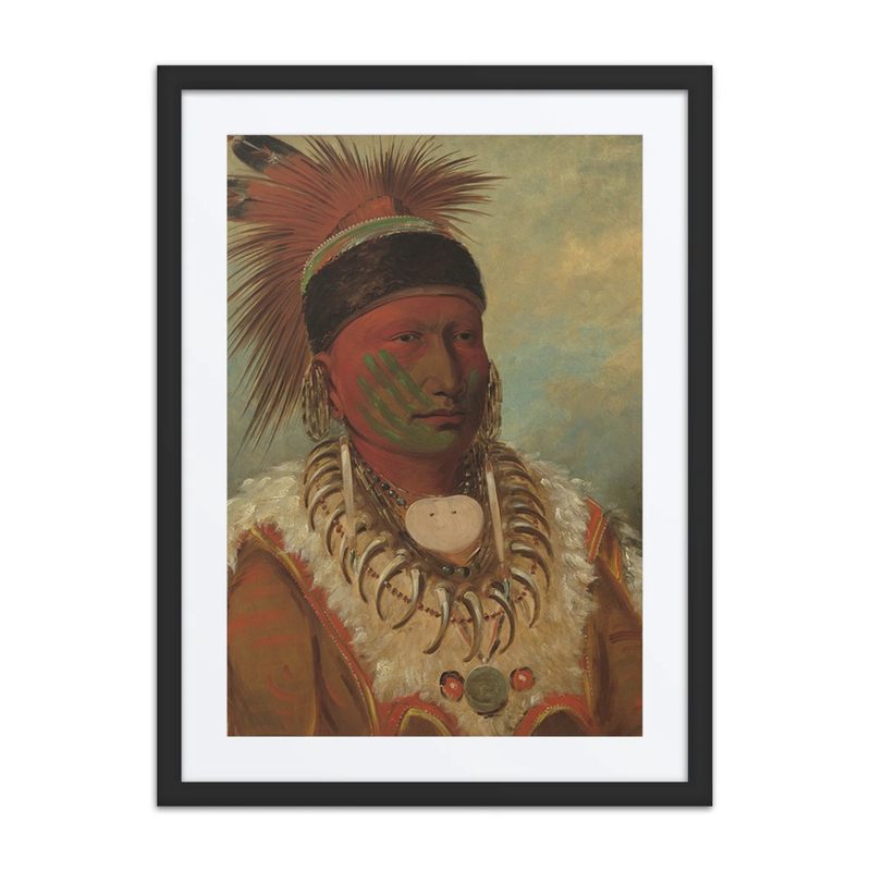 The White Cloud, Head Chief of the Iowas