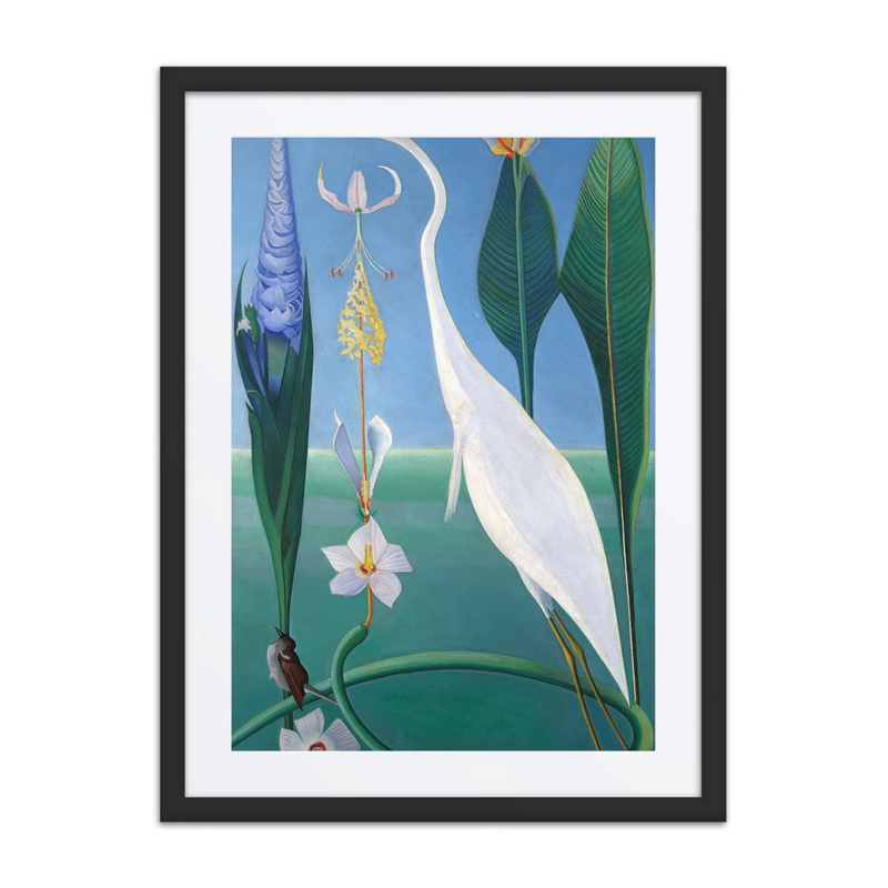 The White Heron