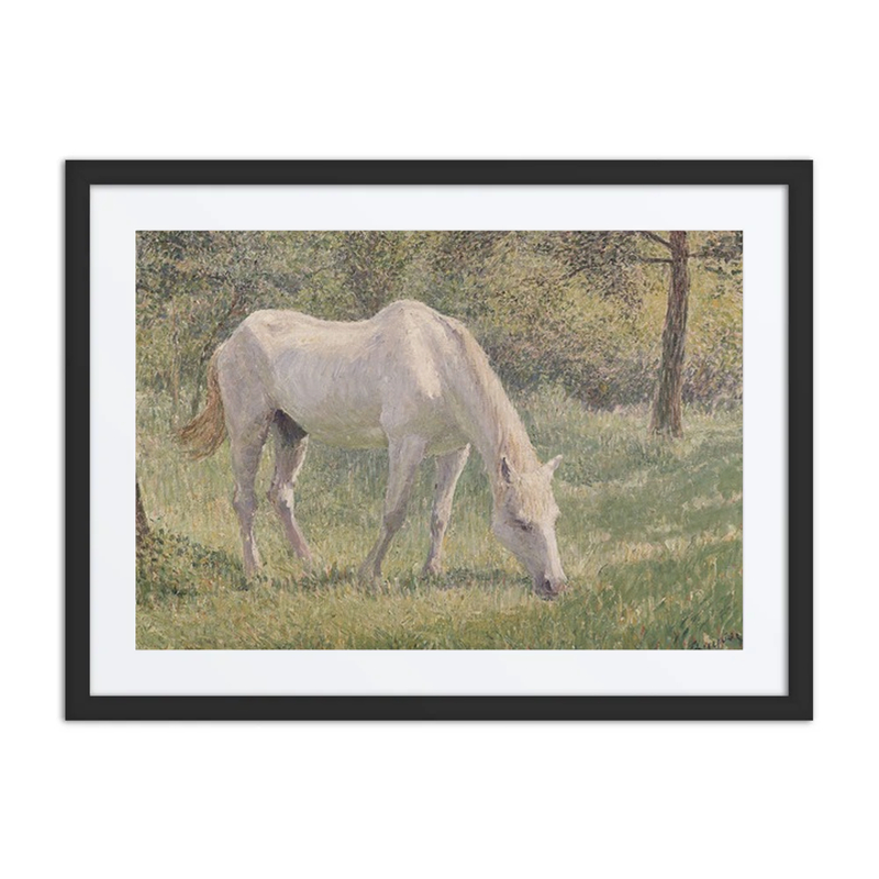 The White Horse