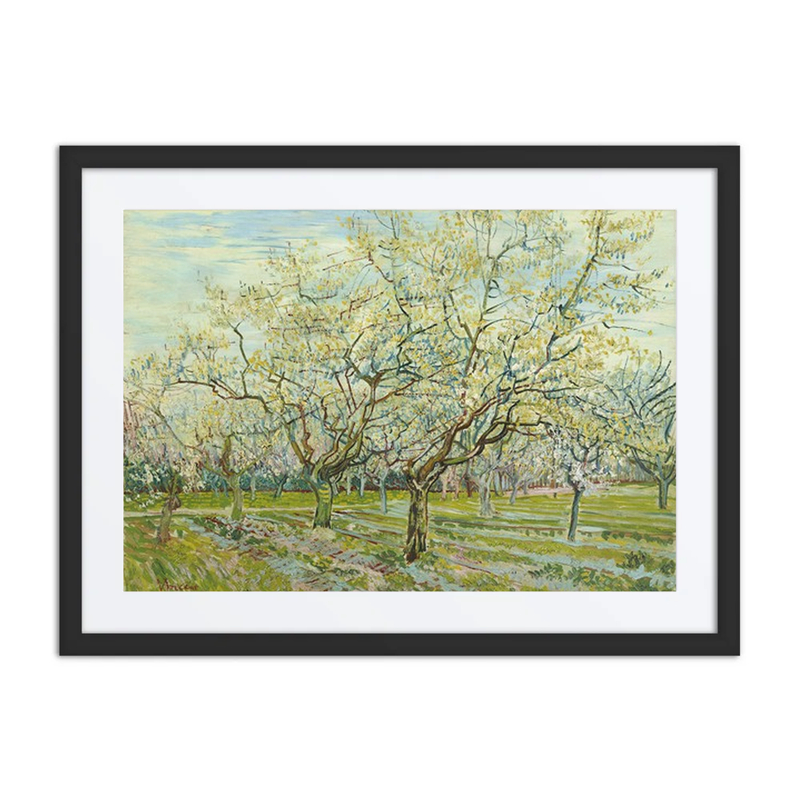 The White Orchard