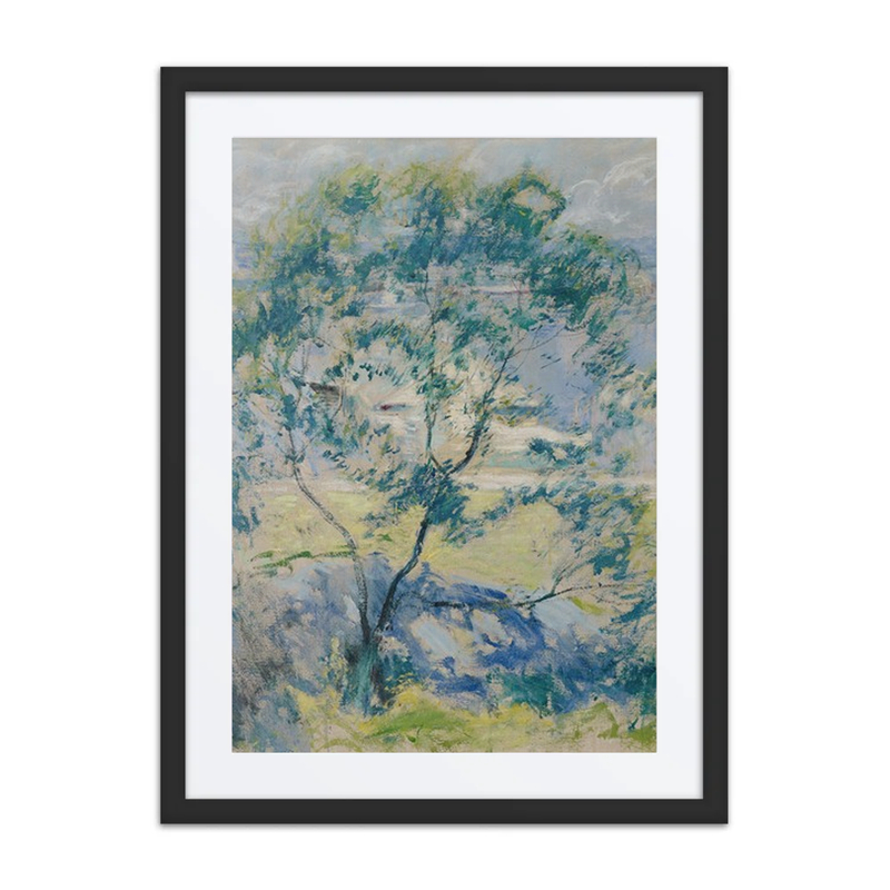 The Wild Cherry Tree