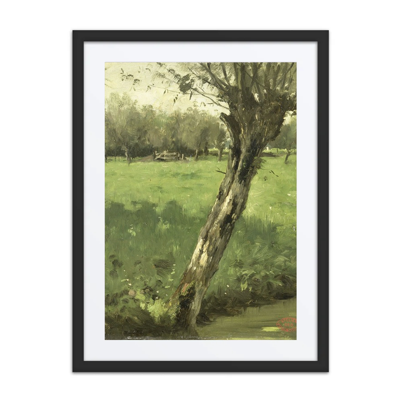 The Willow