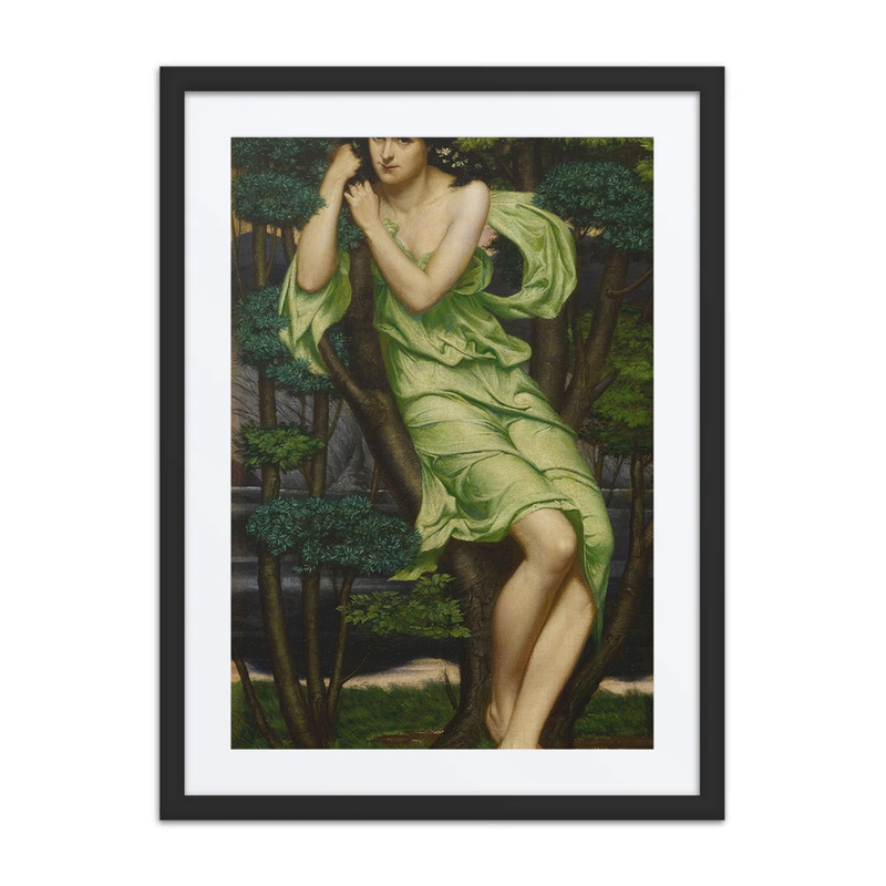 The Wood Nymph