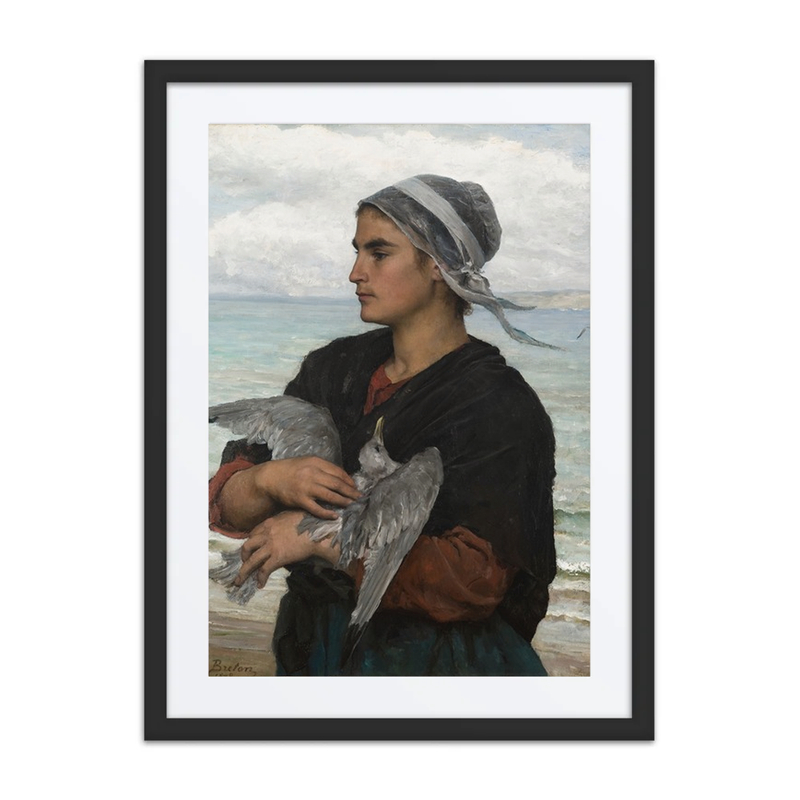 The Wounded Seagull