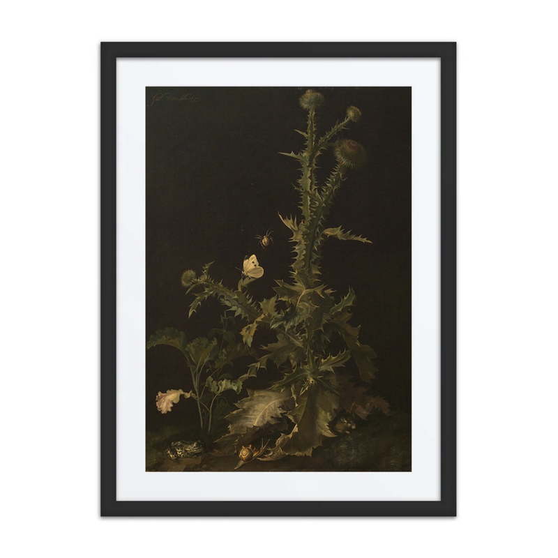 Thistle with Various Animals