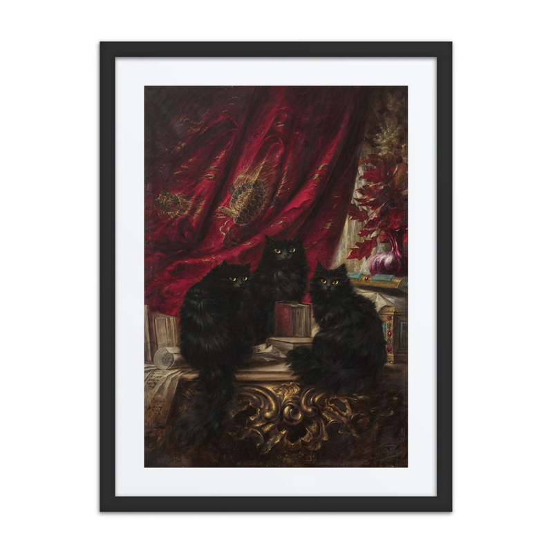 Three Black Cats