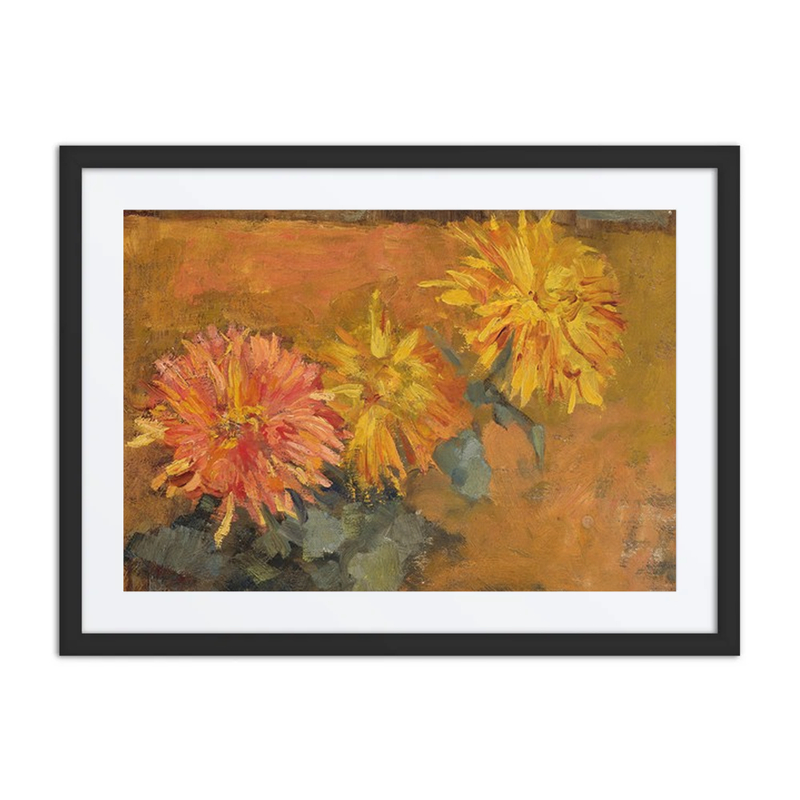 Three Chrysanthemums