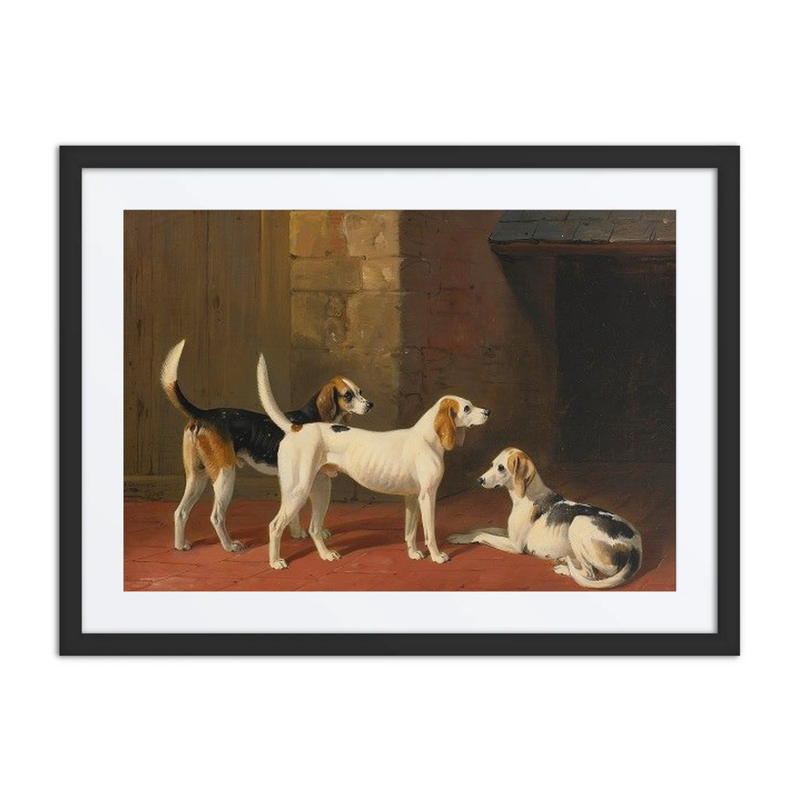 Three Fox Hounds in a Paved Kennel Yard