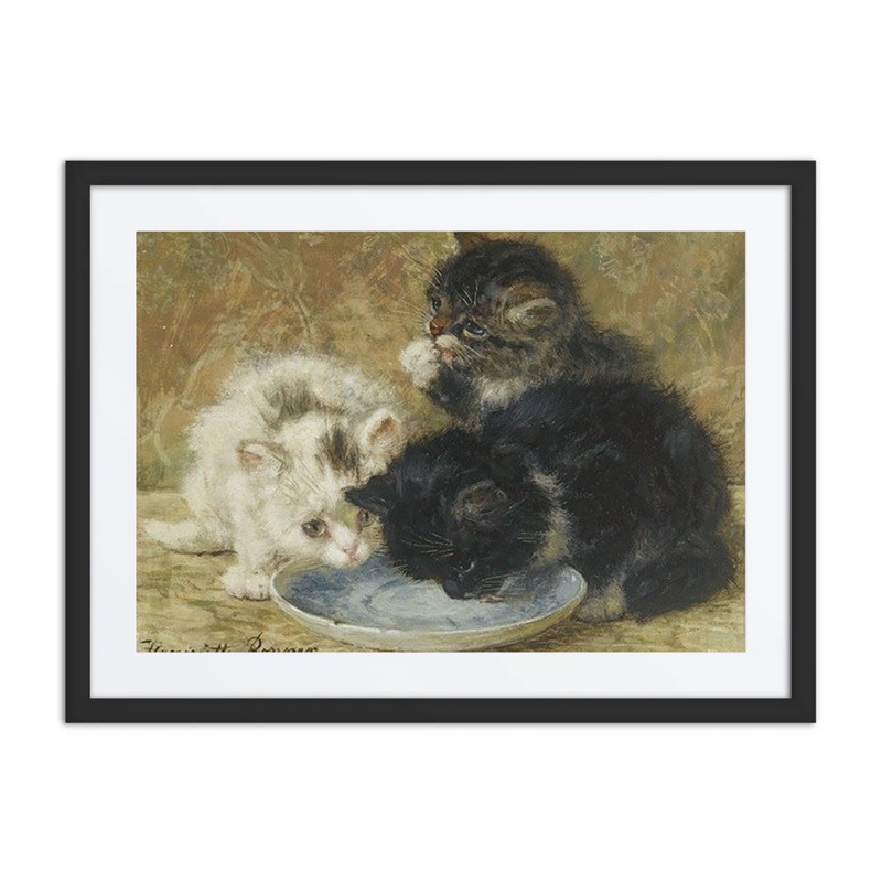 Three Kittens Drinking