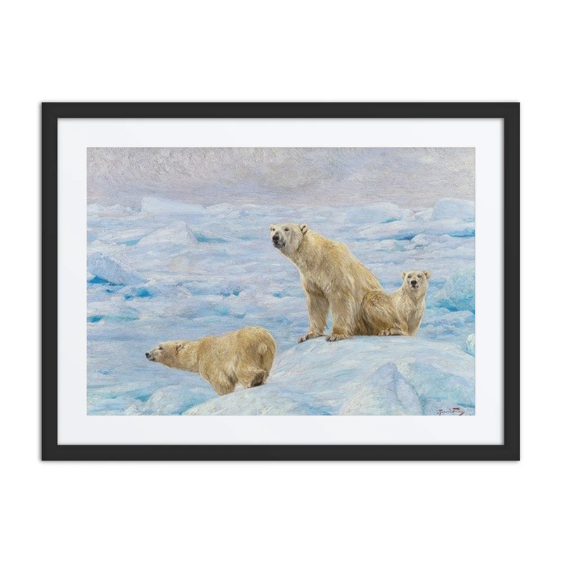 Three Polar Bears