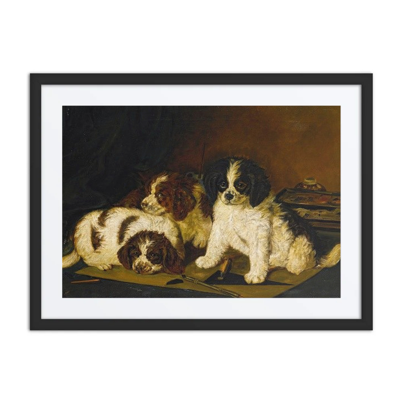 Three Spaniel Puppies