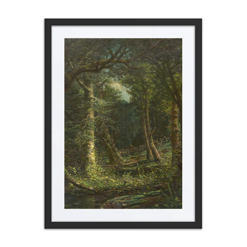 Through the Trees