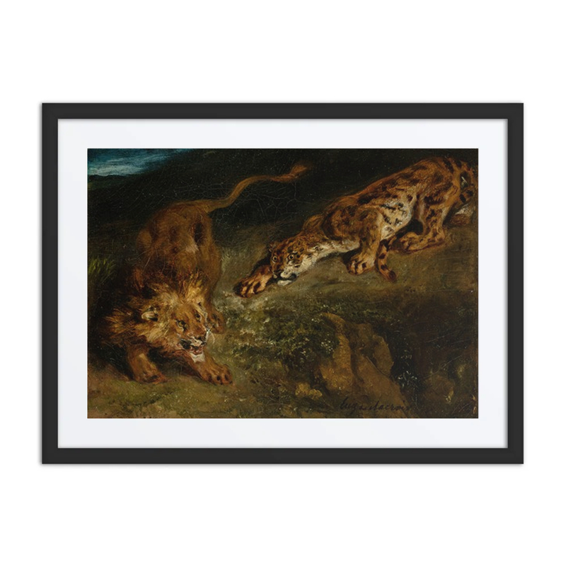 Tiger and Lion