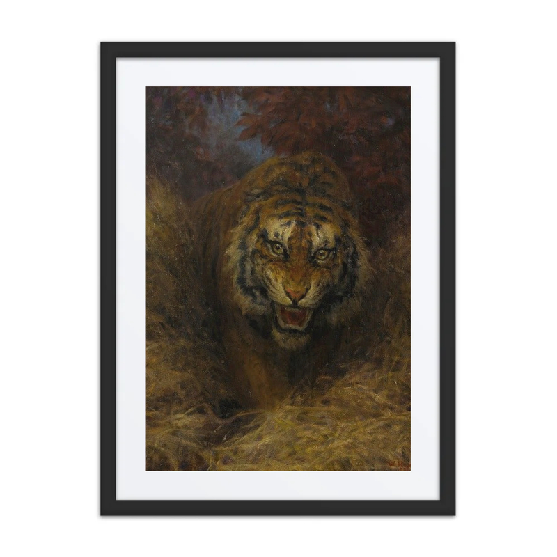 Tiger in the Grass