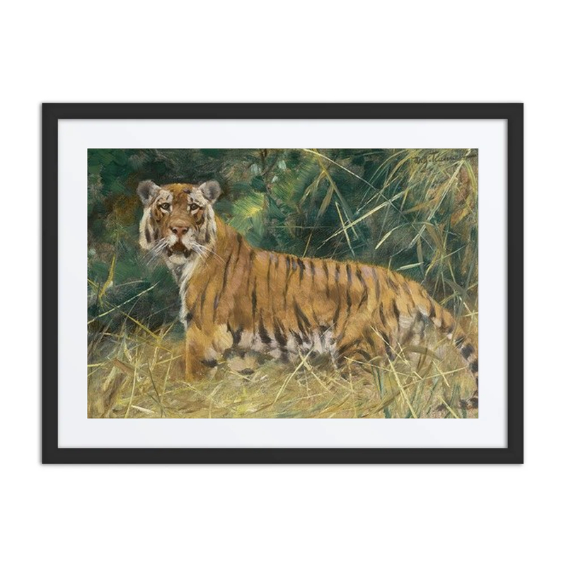 Tiger on the Alert