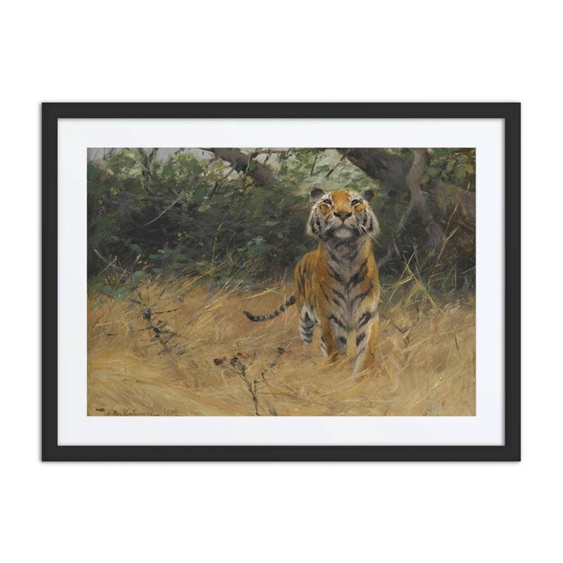 Tiger on the Watch