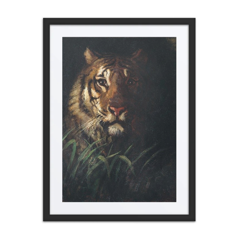 Tiger’s Head