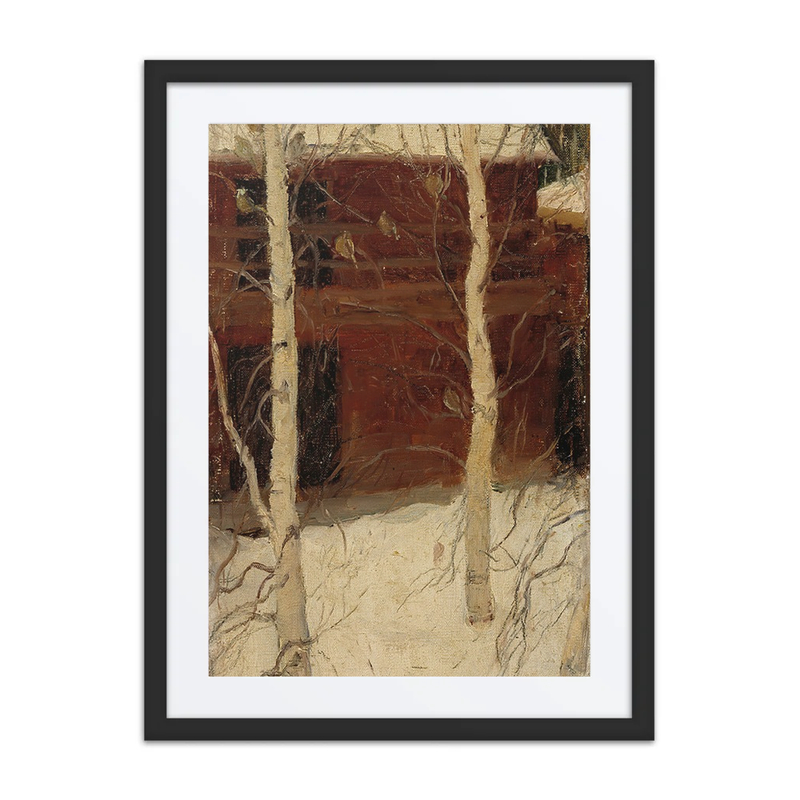 Titmice in Birch Trees