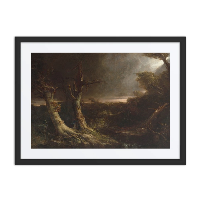 Tornado in an American Forest