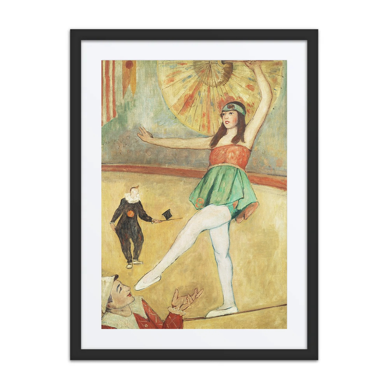 Trapeze Artist