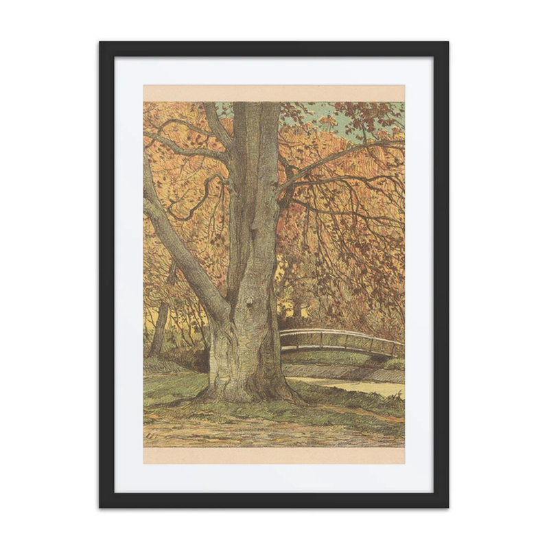 Tree by Stream in Autumn