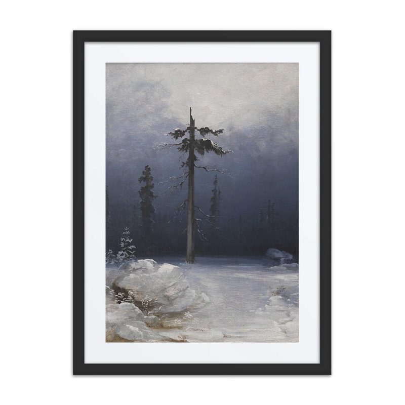 Tree in a Wintry Forest