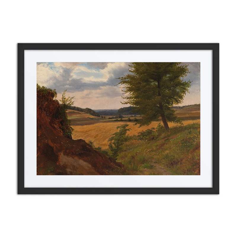 Tree in Field Landscape Study