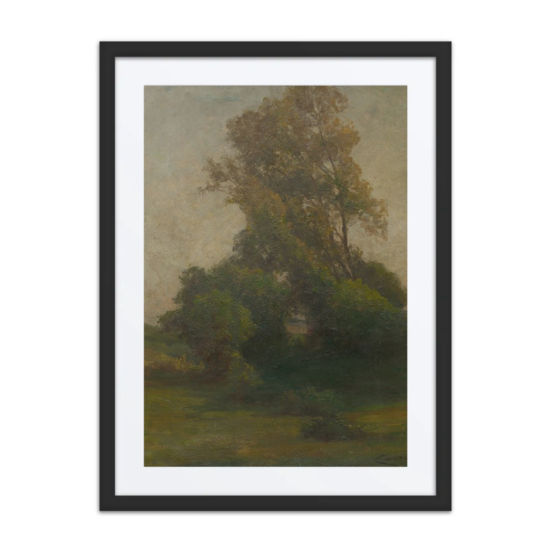 Tree in the Countryside
