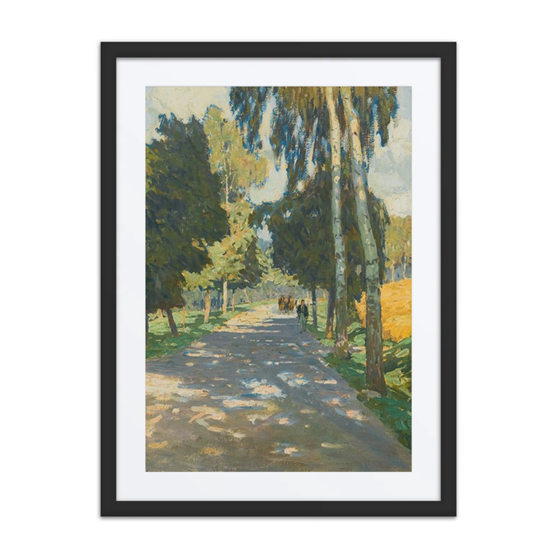 Tree-Lined Road in Bruntál