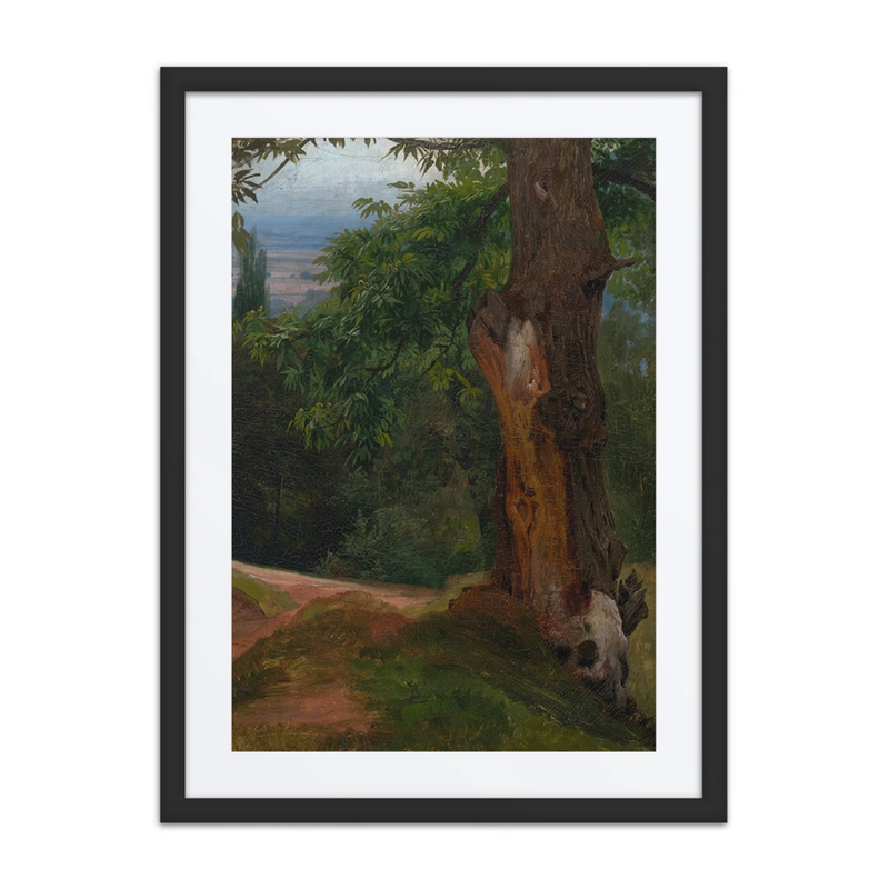 Tree Study with Valley View