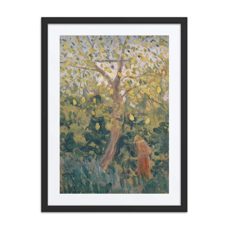 Tree with Yellowed Fall Leaves