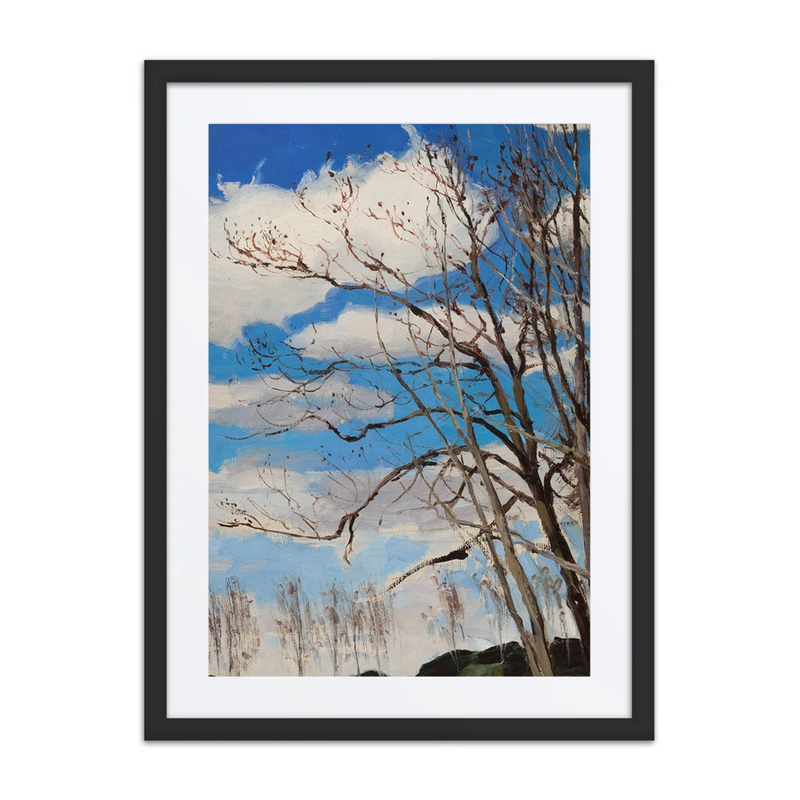 Trees Against the Sky