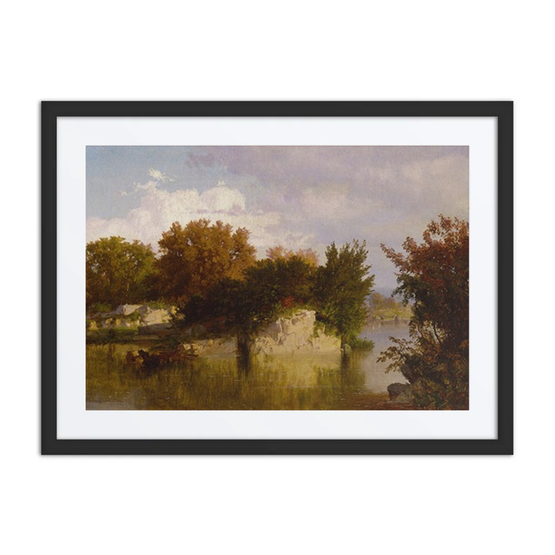 Trees Along Stream in Fall